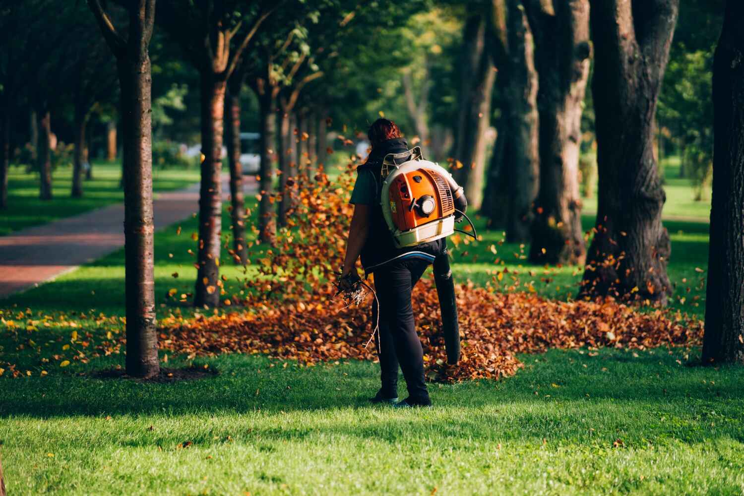  St Cloud, FL TreeGuard Tree Service Pros